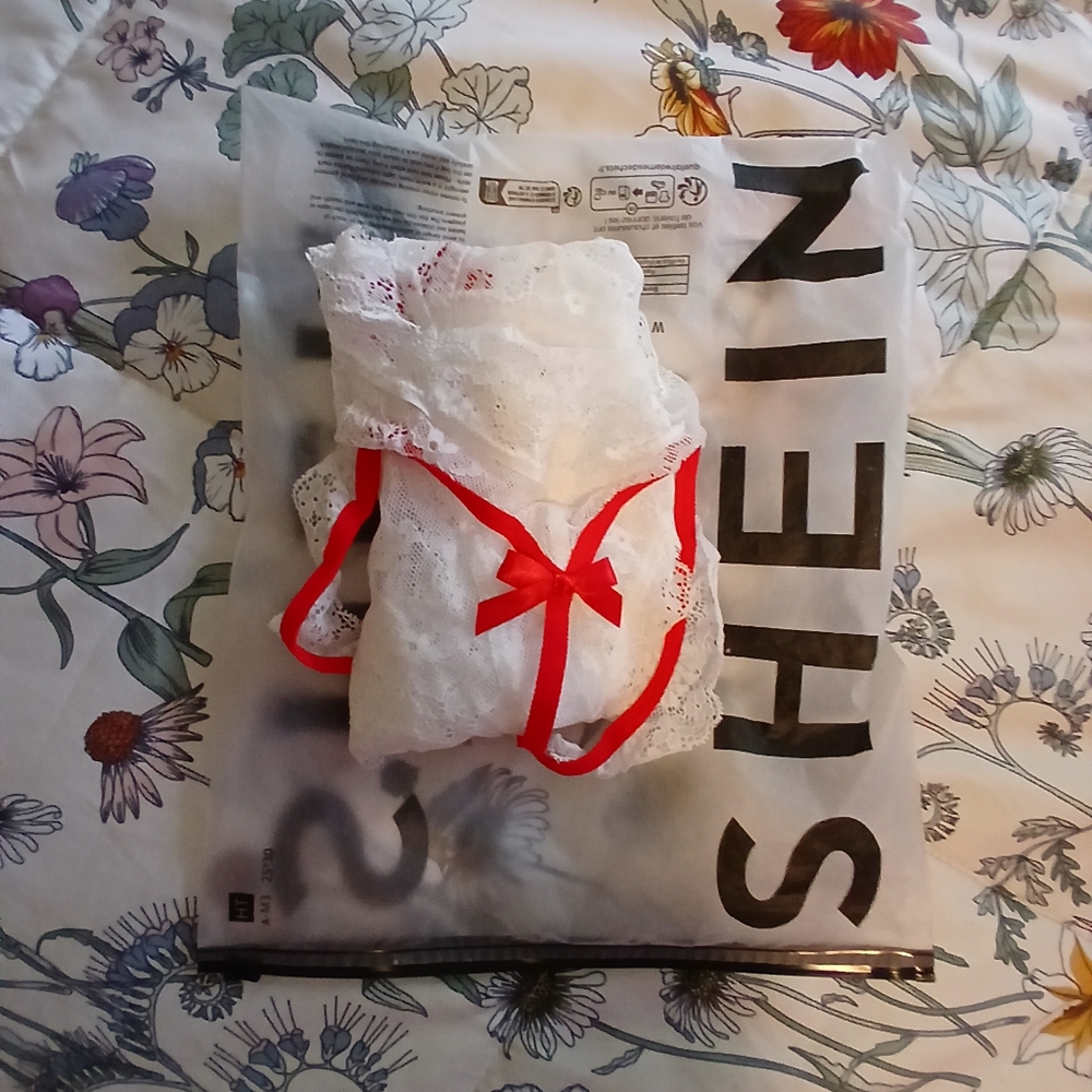 SHEIN White and Red Lace Lingerie Set